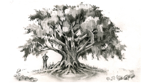 oak tree people